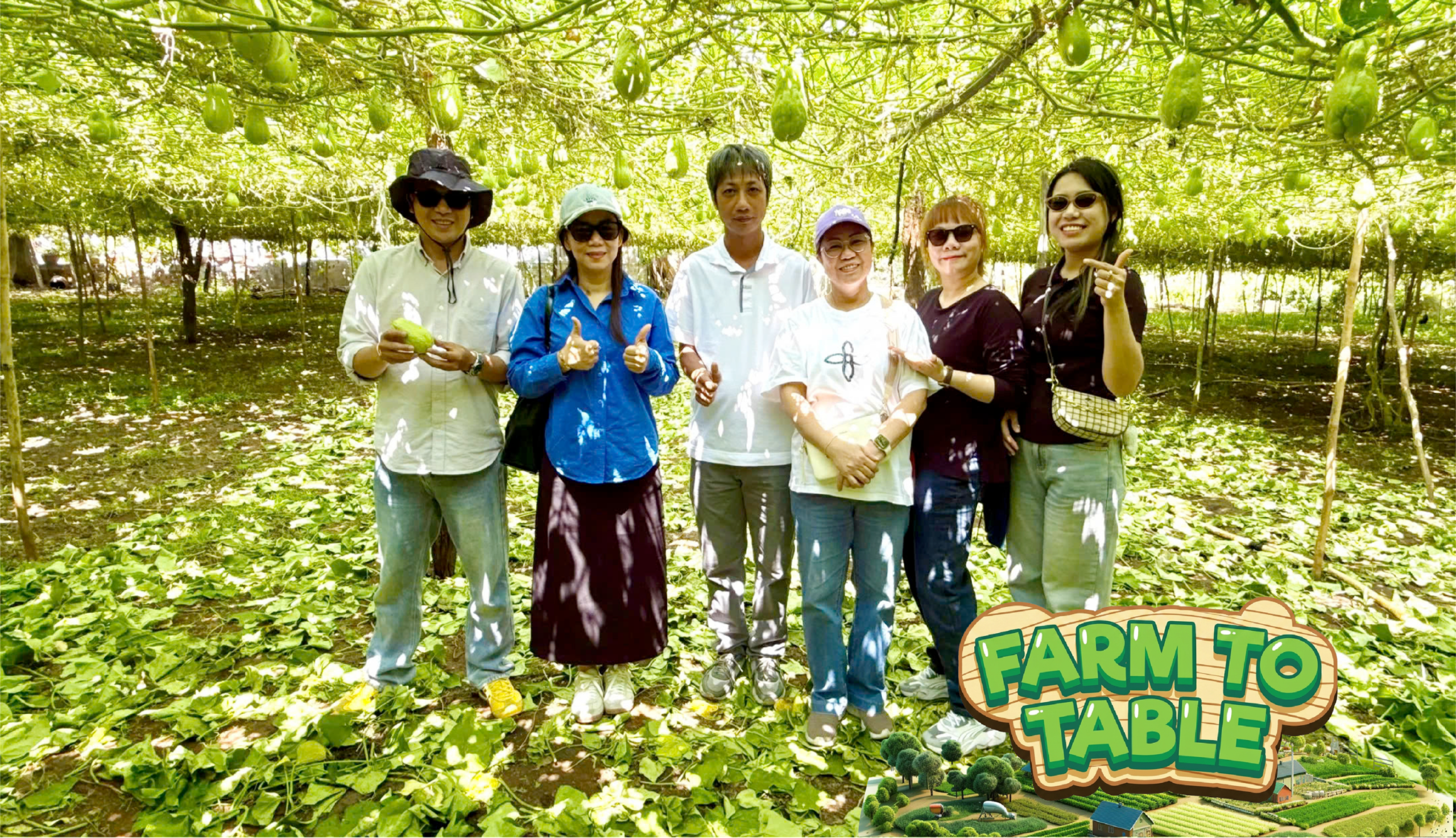 FARMTOBALBE hình 1