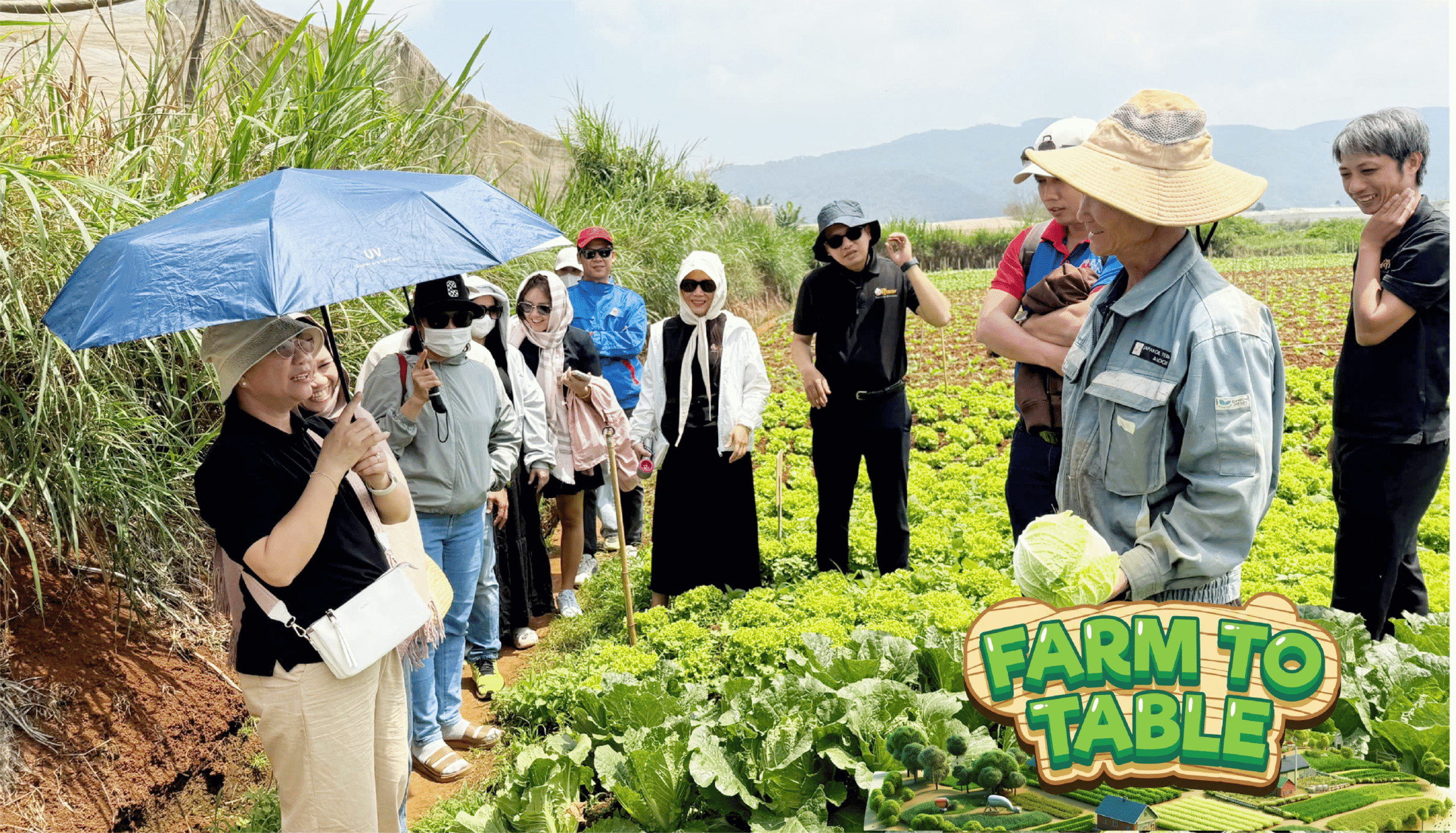 FARMTOBALBE hình 2